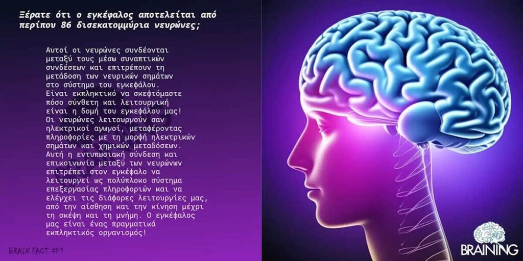 Απεικόνιση ανθρώπινου εγκεφάλου και νευρωνικών συνδέσεων, σχετική με τη νευροπλαστικότητα και τη λειτουργία του νευρικού συστήματος.